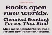 DT Augustina Slab 5 Subfamily, a Slab Serif Font by Deveze Type Foundry (Thumbnail 11 of 31)