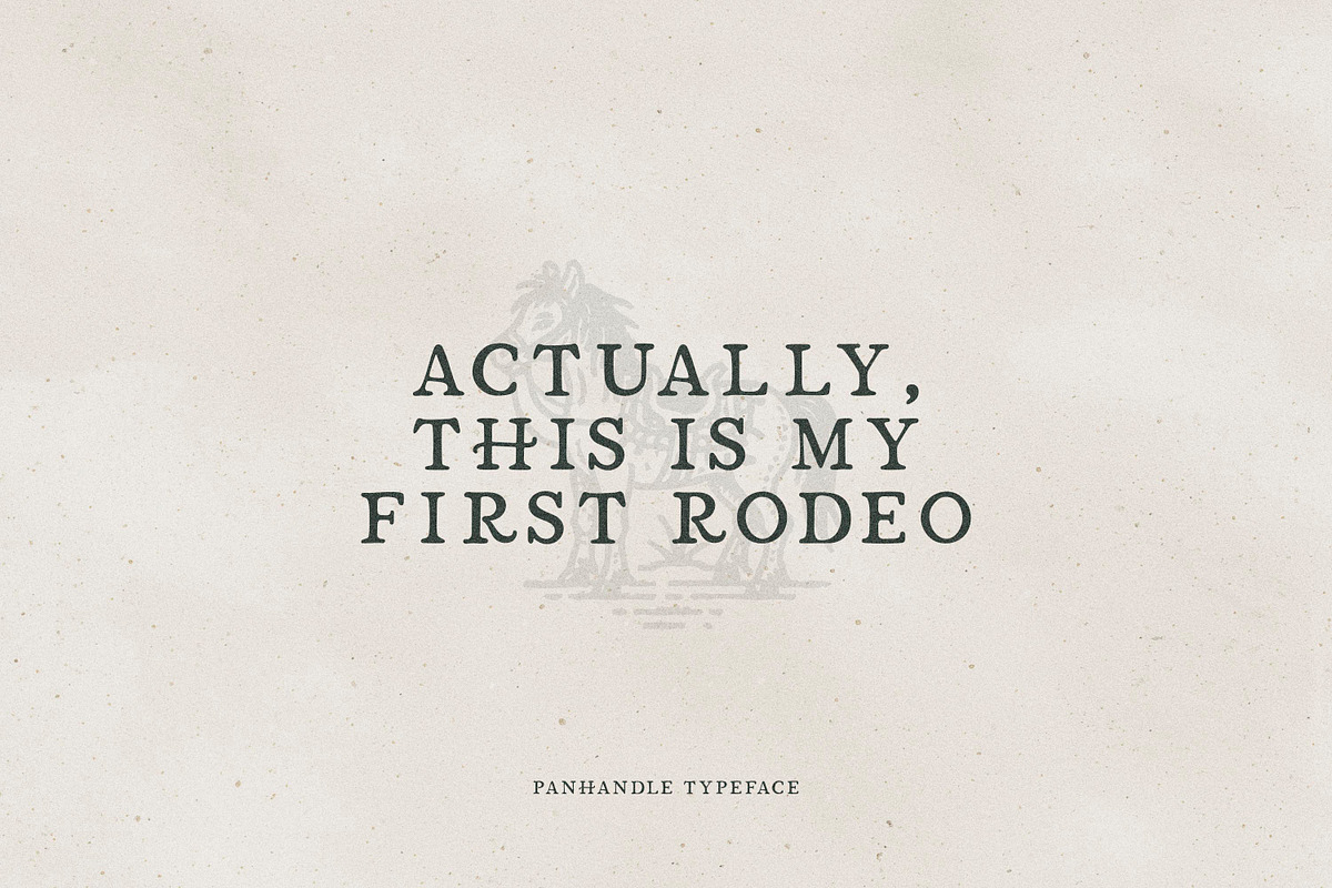 Panhandle Vintage Serif, a Serif Font by Callie Rian & Co. (Photo 3 of 14)