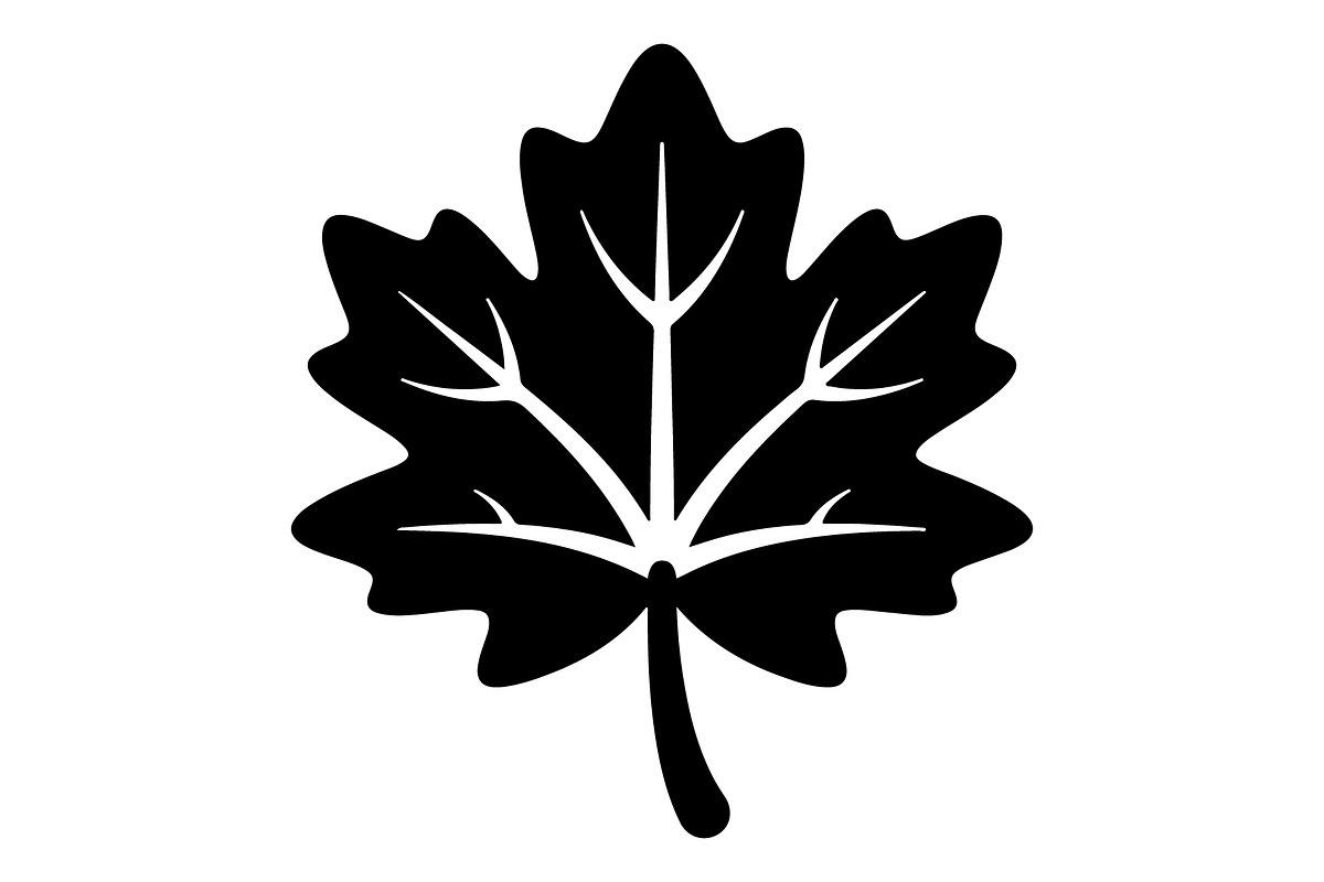 Maple Leaf Acorn Autumn, an Object Graphic by Gfx_Store (Photo 2 of 18)