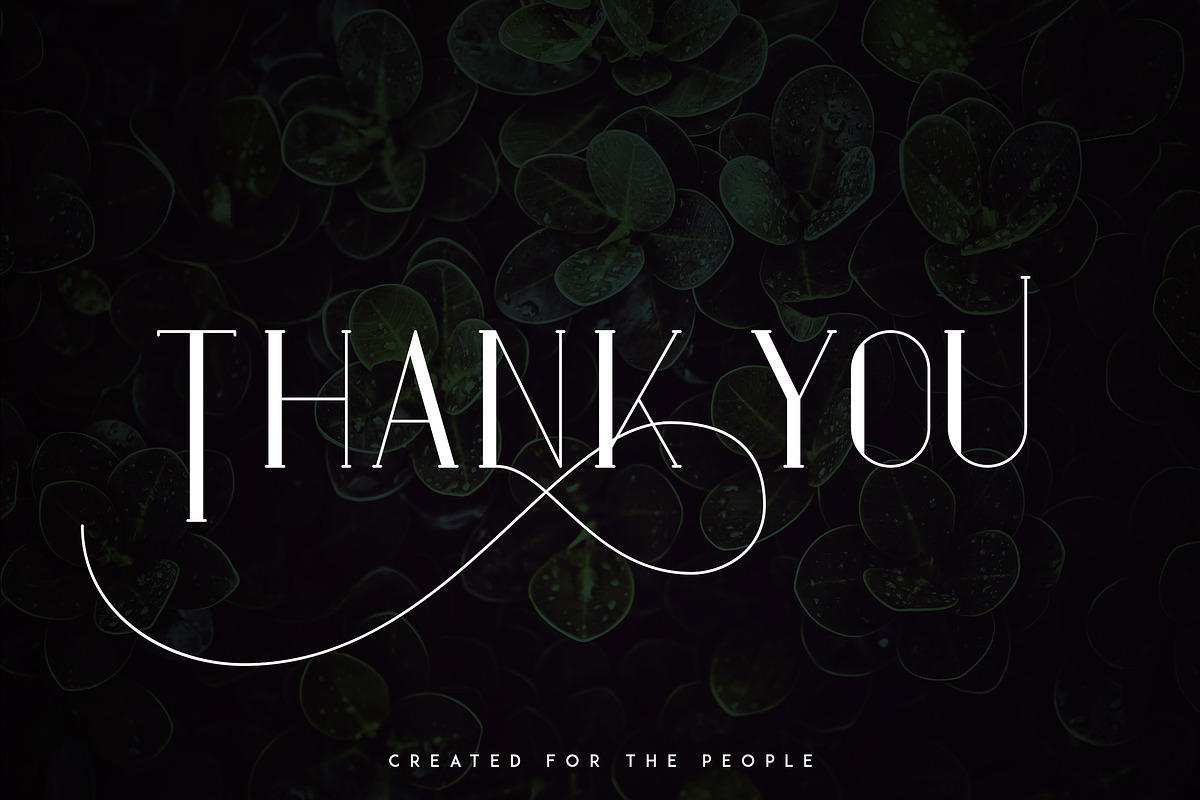 Maria Serif Font -50%, a Serif Font by VP Fonts (Photo 9 of 9)