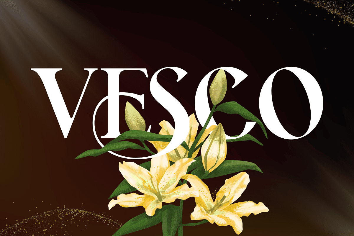 Lavero - Modern Ligatures Font, a Serif Font by Nirmana Visual (Photo 8 of 8)