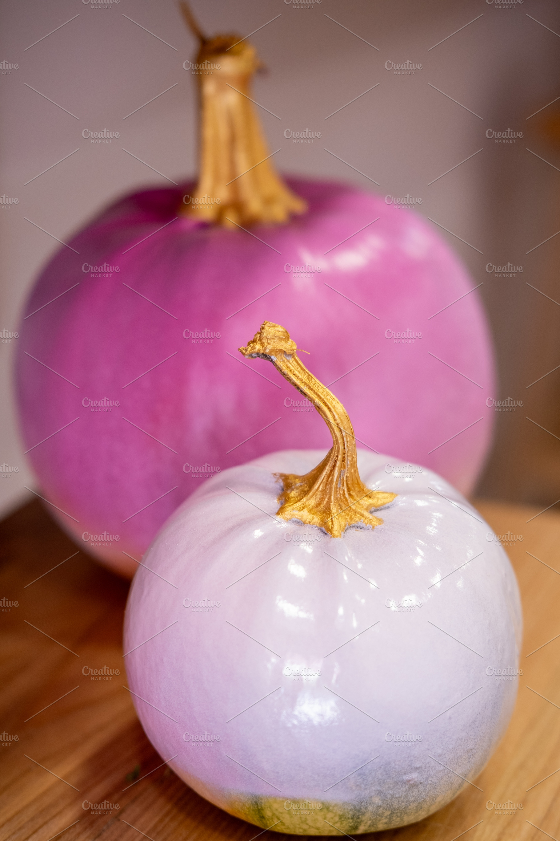 Decorative pumpkins fall composition seasonal, a Background Photo by Photo Drive Studio