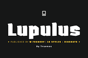 Lupulus 85% OFF, a Blackletter Font by W Type Foundry (Thumbnail 17 of 17)