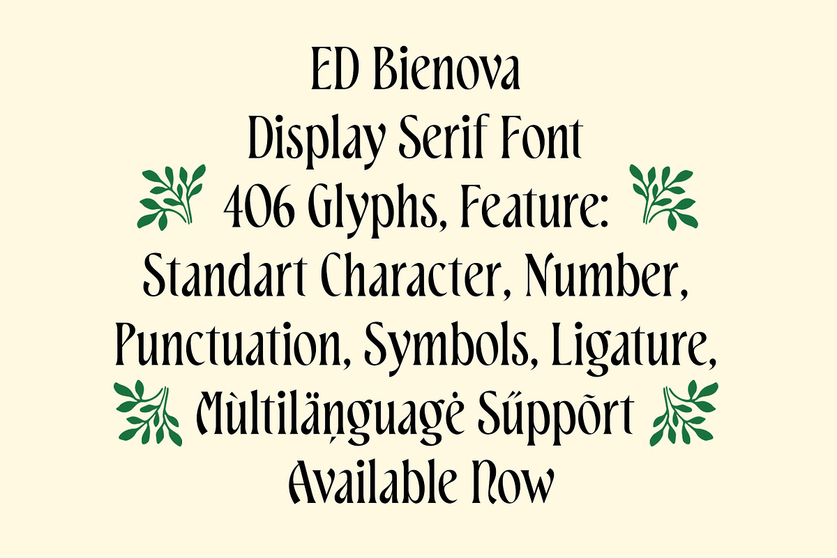 ED Bienova - Display Serif, a Serif Font by Emyself Design (Photo 8 of 12)