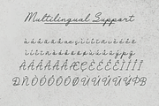 Nestaly Monoline Script Handwritten, a Script Font by gracetype_studio (Thumbnail 14 of 16)