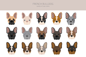 French Bulldog Clipart