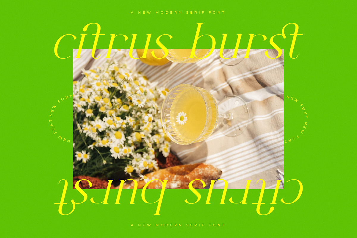 Herits Modern Serif Font, a Serif Font by AmorfaType (Photo 5 of 10)