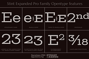 Stint Expanded Pro Family, a Serif Font by Stiggy & Sands (Thumbnail 4 of 5)