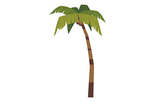 Cartoon Palm. Exotic Tree. Green