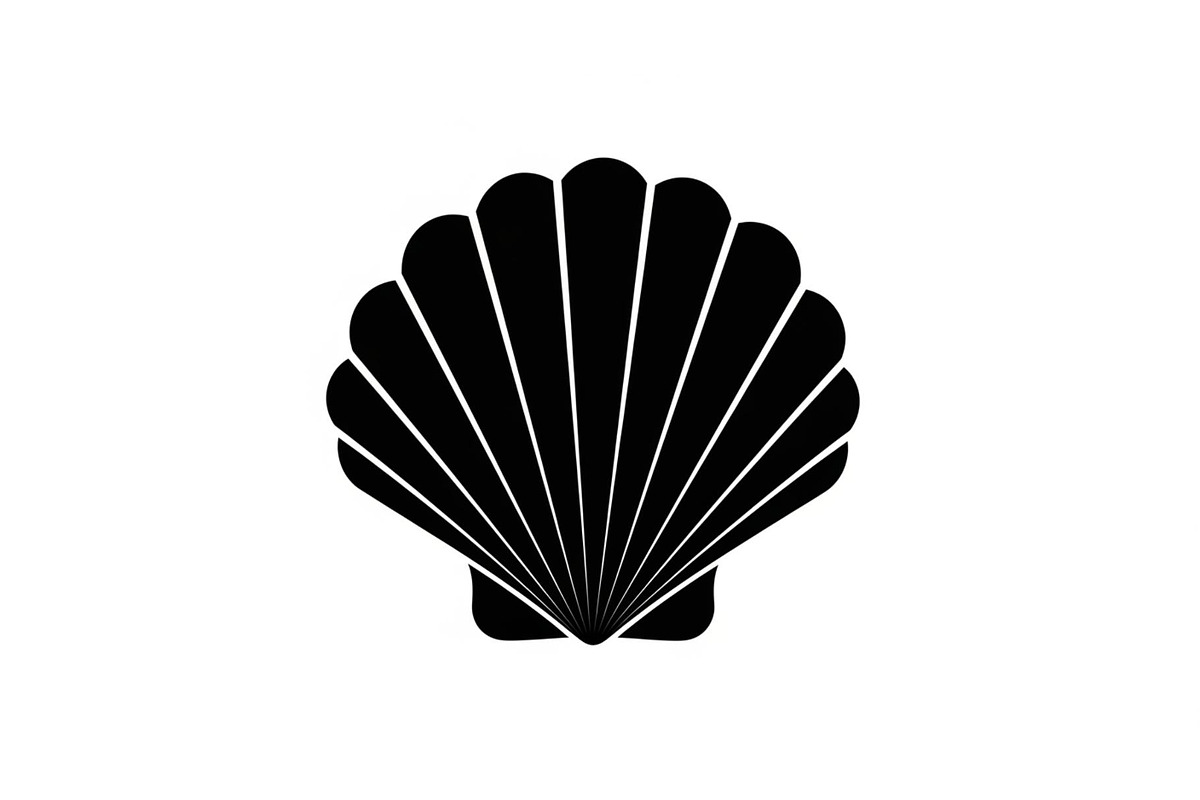 Shell Silhouette Vector Bundle, an Illustration by hafijul (Photo 39 of 48)