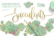 Succulents-single species package, a Work Illustration by watercolorwild.graphics (Thumbnail 1 of 8)