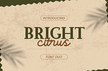 Bright Citrus - Luxury Font Duo