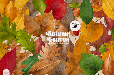 Autumn Leaves - Watercolor Fall