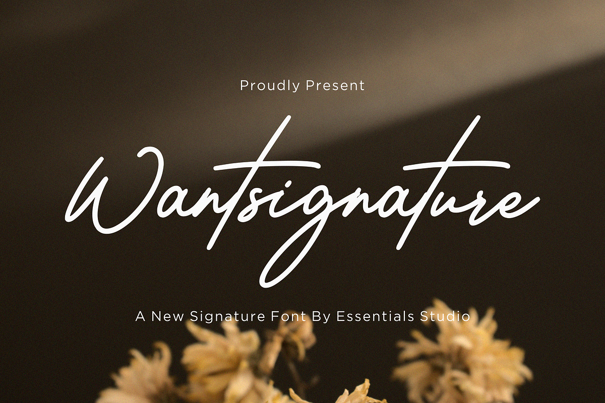 Wantsignature, a Font by Essentials Studio (Photo 1 of 7)