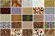 Animals Skin Background, a Background Graphic by Forhadx5 (Thumbnail 17 of 20)