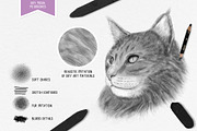 Dry media. Brushes for PS, a Brush Add-On by Leo Studio Design Lab (Thumbnail 2 of 10)