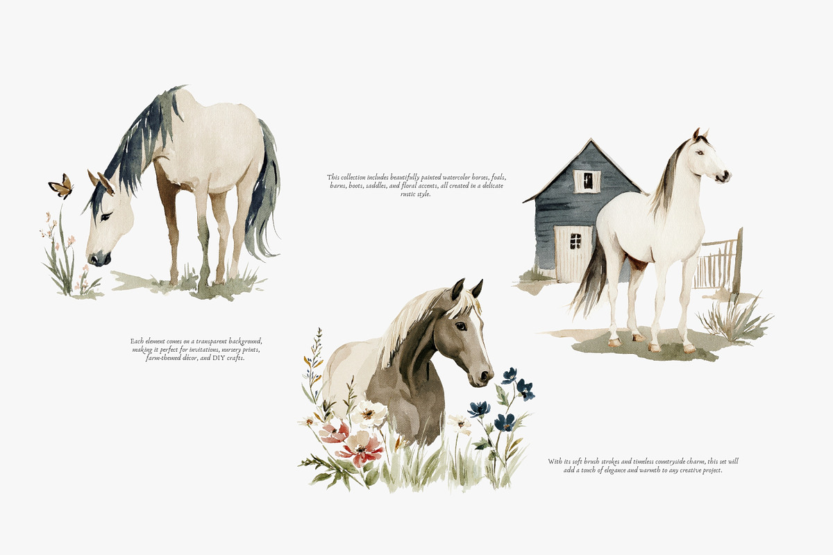 horse clipart horse illustration set, an Illustration by Patishop Art (Photo 5 of 10)