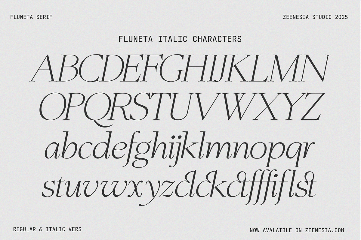 Fluneta, a Serif Font by zeenesia (Photo 20 of 21)