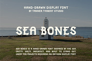 Sea Bones | Coastal Font, a Handwritten Font by TannerThibertStudio (Thumbnail 1 of 3)