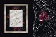 Noir Botanica Scanographs, a Texture Graphic by House of Delfina (Thumbnail 8 of 11)
