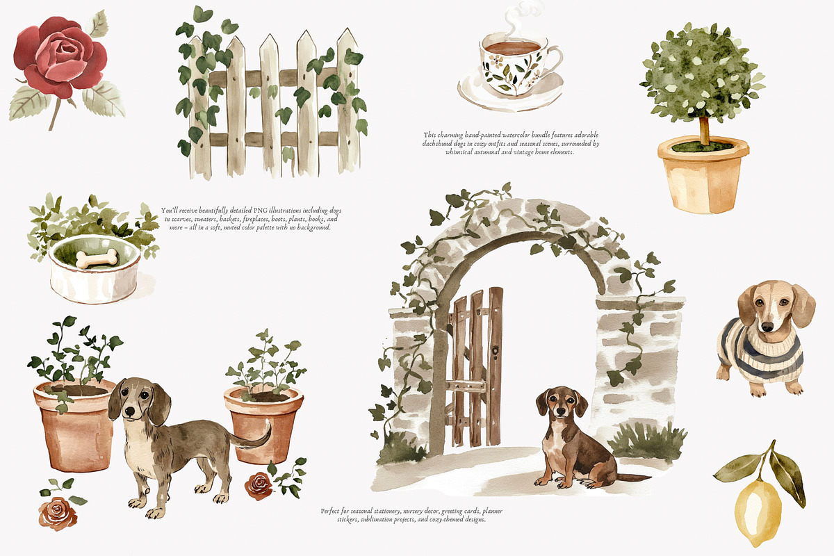 dachshund clipart cozy dog png, a Decorative Illustration by Patishop Art (Photo 8 of 10)