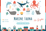 Marine Fauna, an Animal Illustration by ApollinariaManko (Thumbnail 1 of 11)