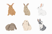 Cute Animals Bundle, an Object Graphic by Jump Studio (Thumbnail 10 of 20)