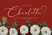 Nellysia Sorettein Calligraphy, a Script Font by Denustudios (Thumbnail 2 of 13)