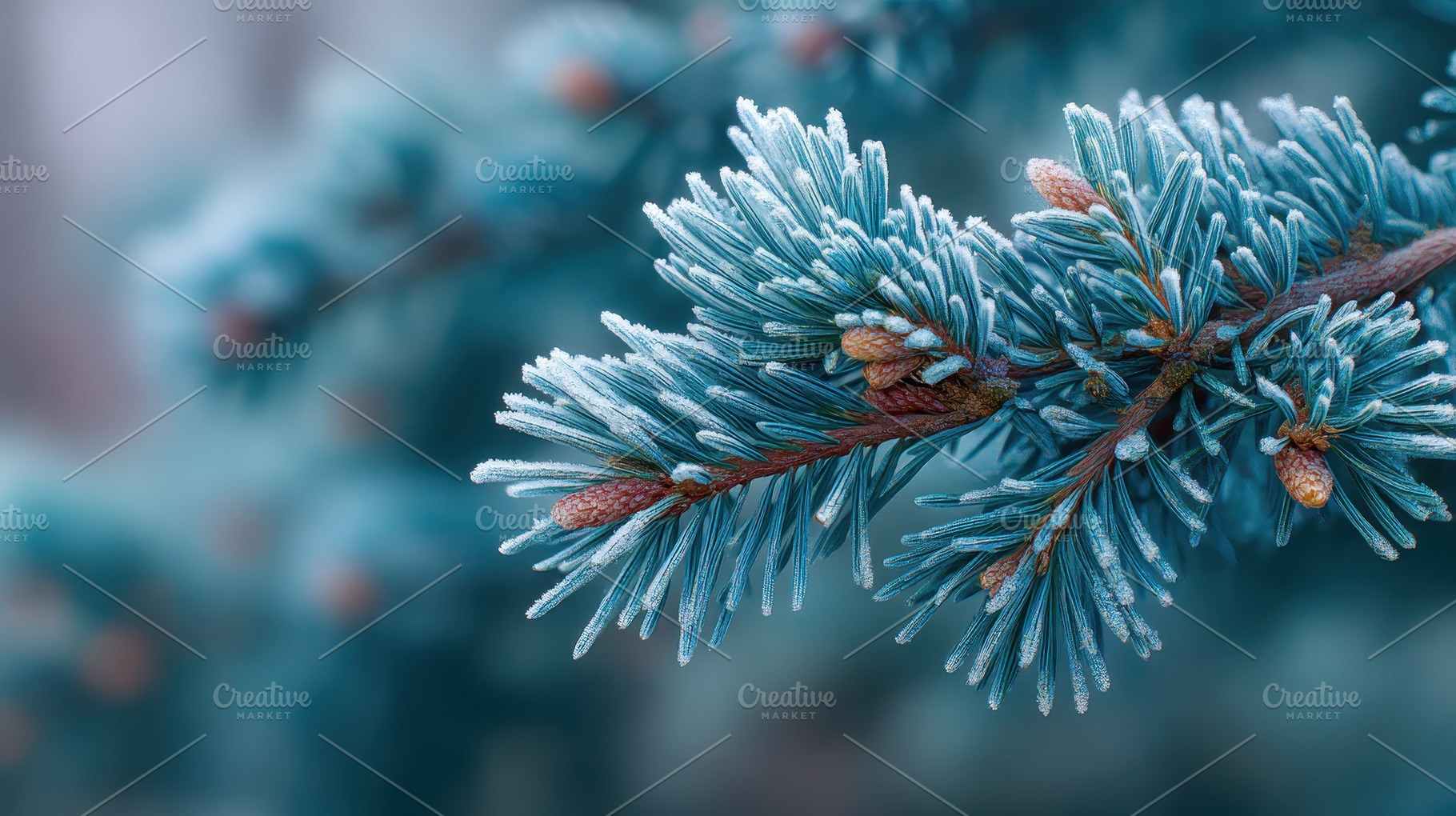 Frozen pine branch winter wonderland, an Abstract Photo by Pixeness Studio