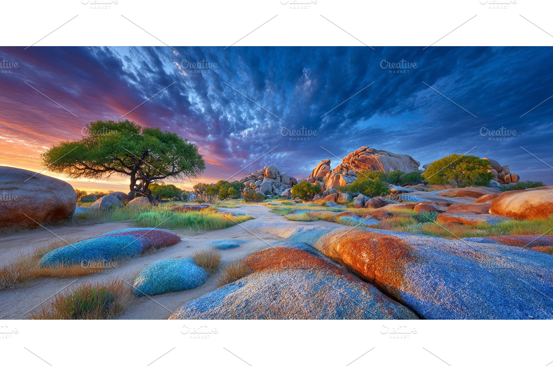 Wide angle panoramic image of Joshua, a Nature Photo by ZinetroN