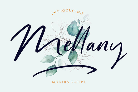Mellany Modern Script Font preview 8