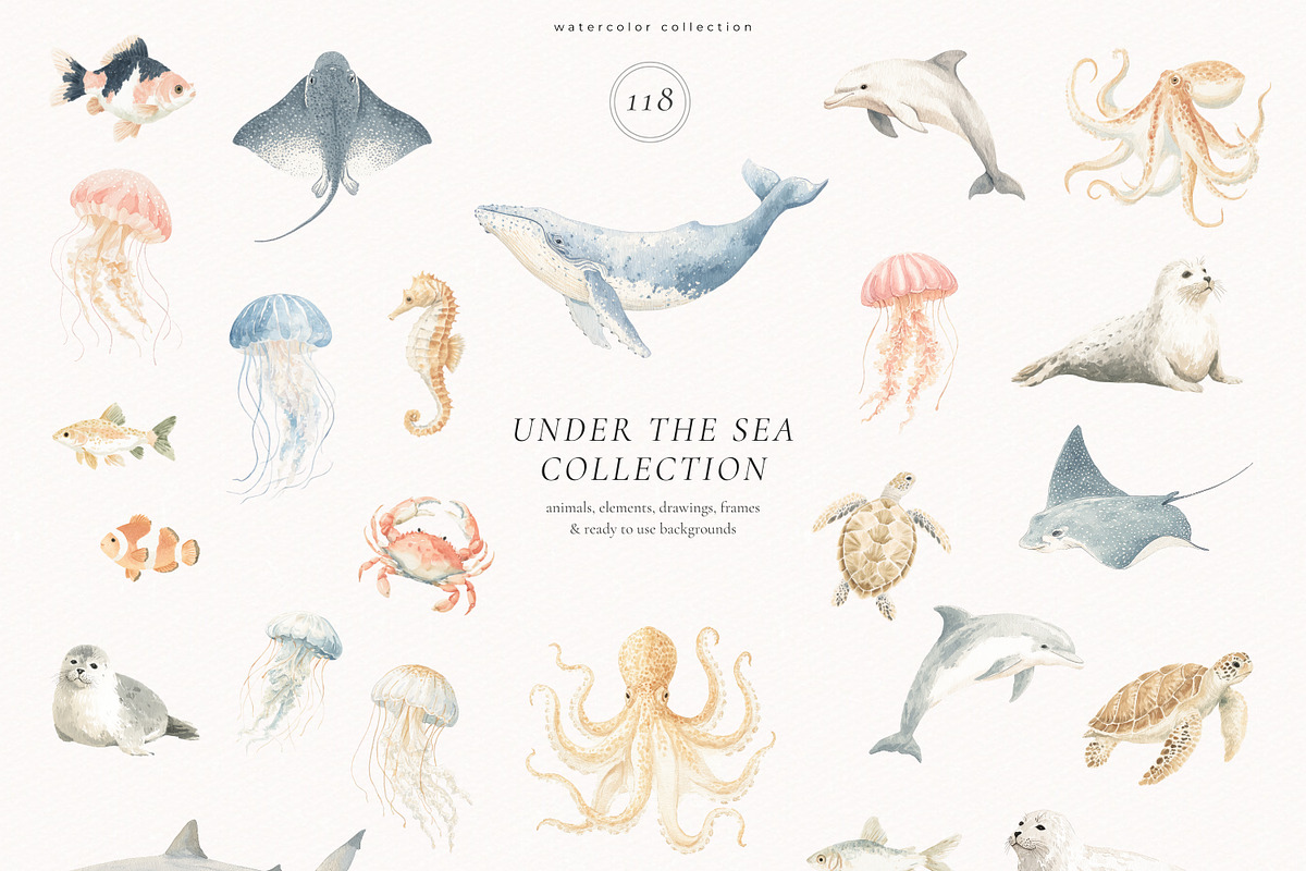 Under The Sea Collection, an Animal Illustration by PeDe Designs (Photo 2 of 7)