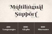 Reglona - High Contrast Serif, a Serif Font by iqbal habibi (Thumbnail 13 of 14)