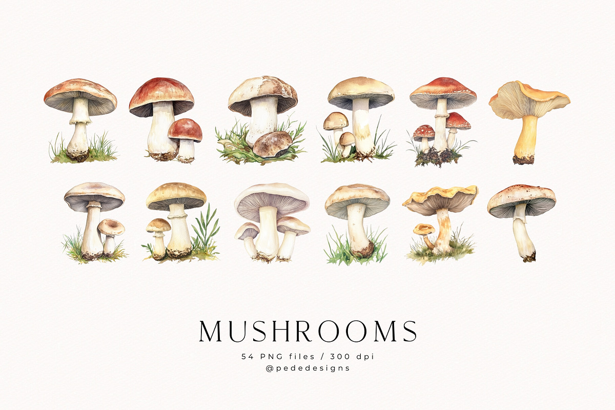 Watercolor Mushrooms, a Food Illustration by PeDe Designs (Photo 3 of 6)
