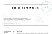 3 Page Resume Template | INDD + DOCX, a Resume Template by BlackDotResumes (Thumbnail 5 of 6)