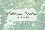 Magnolia & Pines Sans, a Handwritten Font by Beck McCormick (Thumbnail 3 of 10)