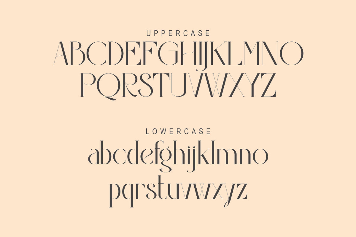 Violina, a Serif Font by Kenrichi (Photo 8 of 10)