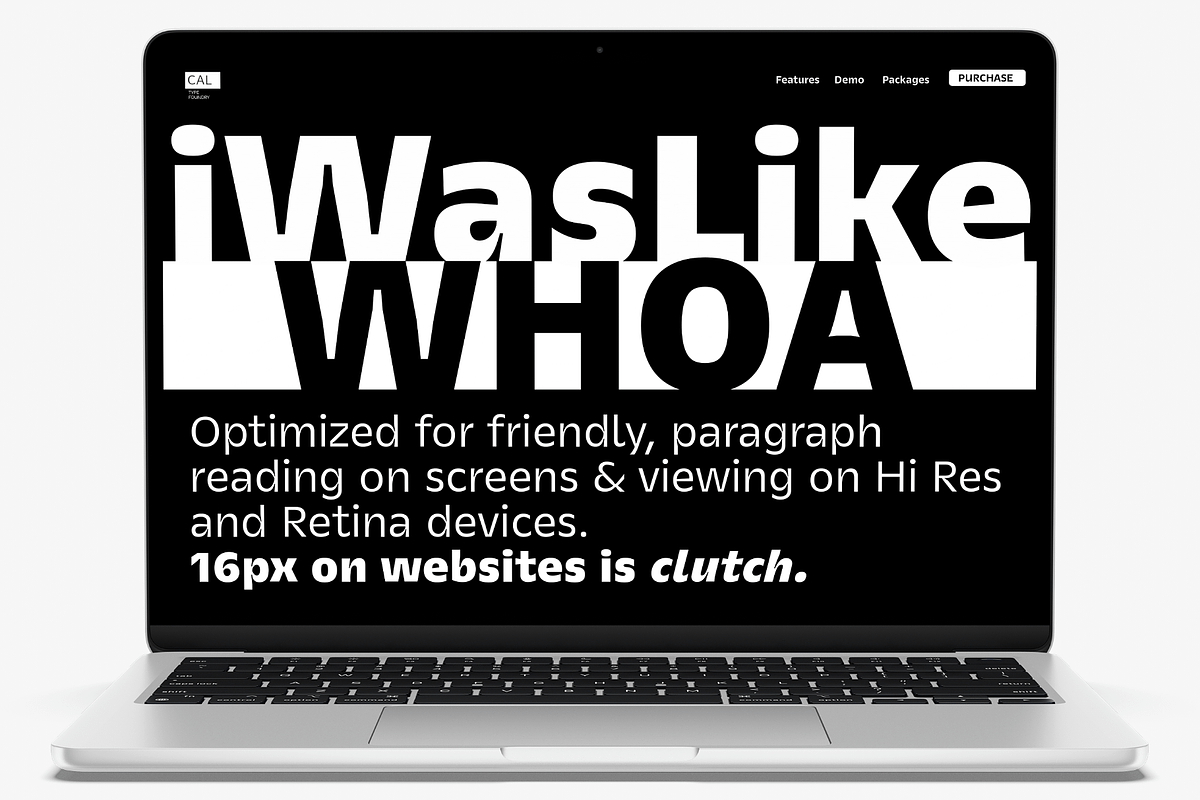 iWasLike Pro - 30 FONTS FULL FAMILY, a Sans Serif Font by California Type Foundry (Photo 2 of 11)