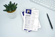 Professional Resume Template, a Resume Template by Annudesign (Thumbnail 9 of 9)