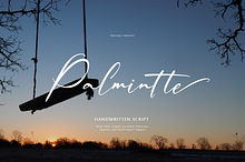 Palmintte | Handwritten Script