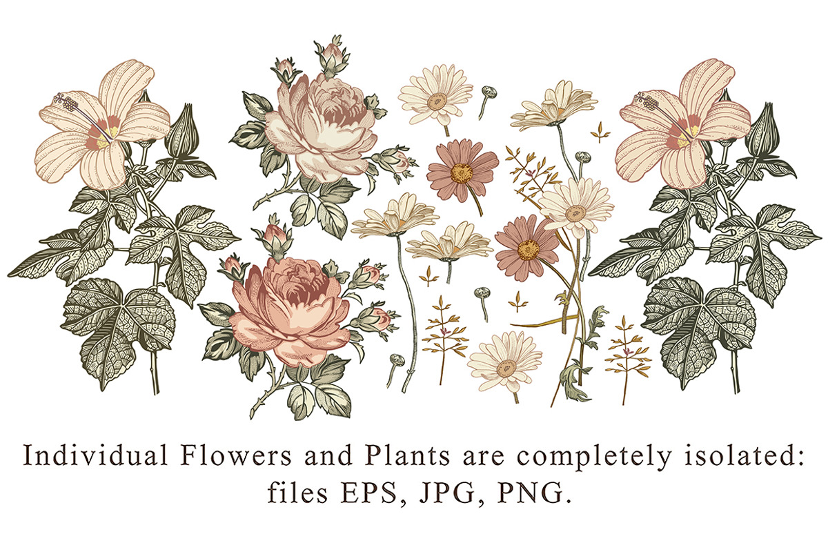Set Seamless Flowers Roses Hibiscus, a Pattern Graphic by Vintage (Photo 3 of 13)