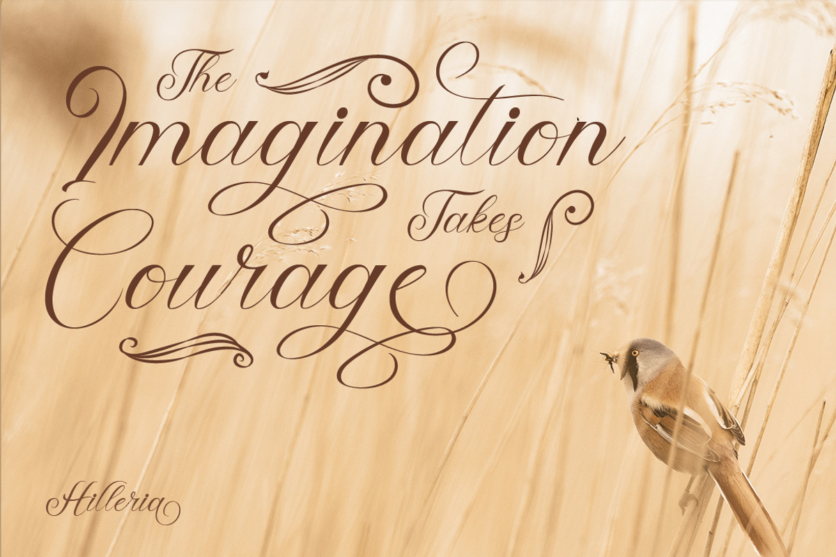 Hilleria, a Script Font by kerismaker (Photo 9 of 12)