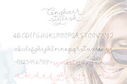 Longhair - Monoline Script Font, a Script Font by Atj.std (Thumbnail 6 of 6)