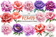 PEONY flower Watercolor clipart, an Illustration by Designworld (Thumbnail 1 of 5)