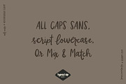 Wild Winter | Extensive Script Font, a Script Font by Typed Up Studio (Thumbnail 10 of 16)