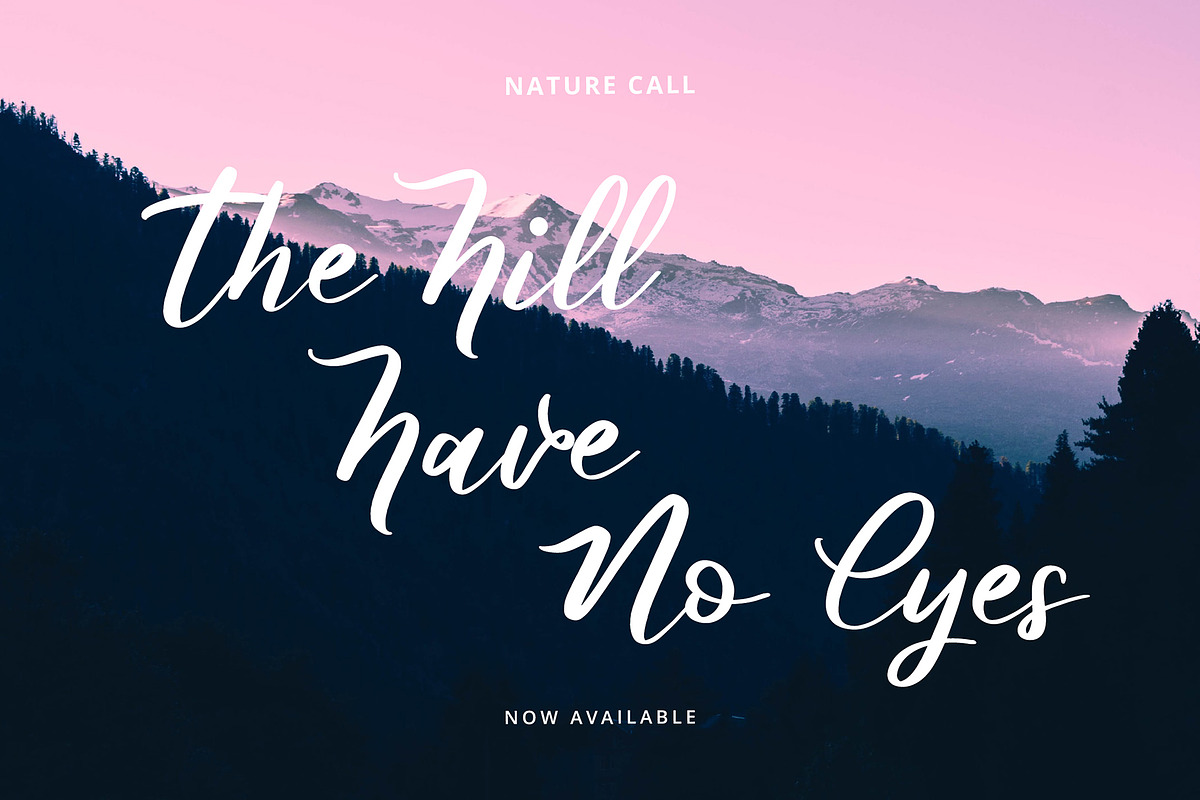 Butterfly Modern Script Font preview 3