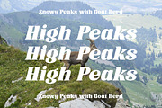 Trade Signal Modern Bold Serif, a Serif Font by timelesstype.co (Thumbnail 11 of 20)