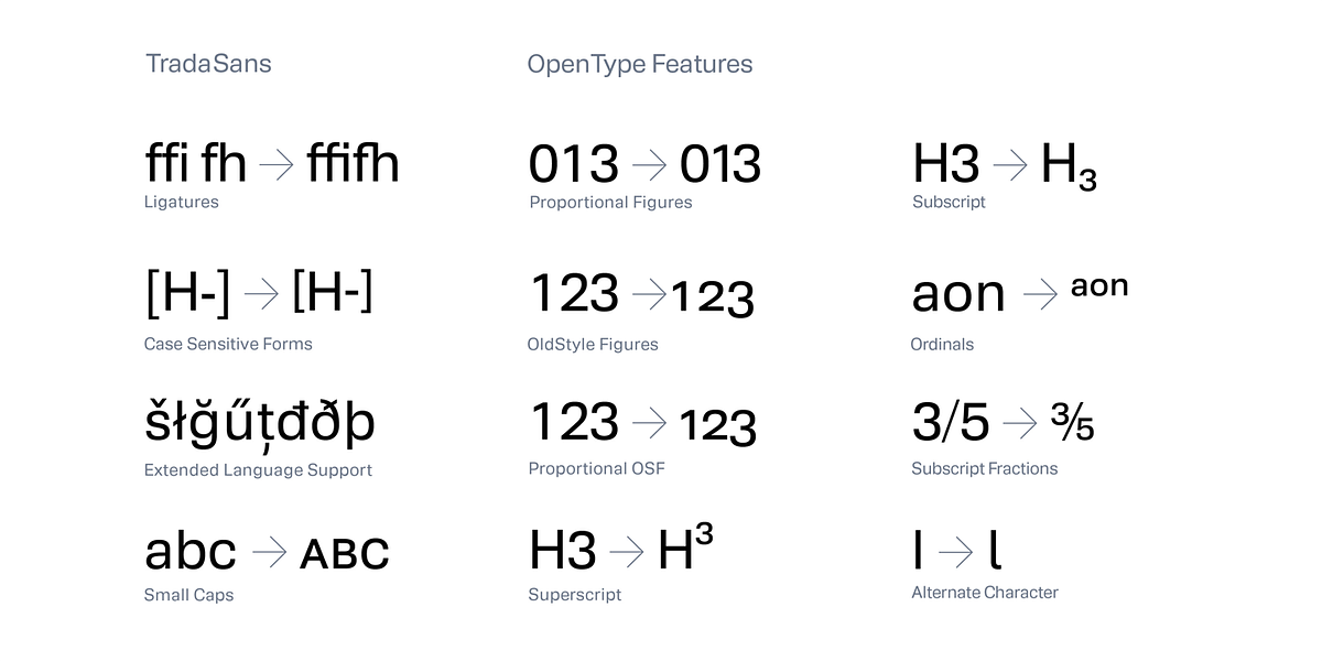 Trada Sans, a Sans Serif Font by Hoftype (Photo 12 of 14)