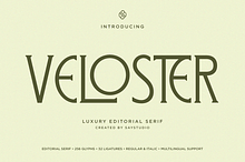 Logo Serif Branding Font - Veloster