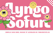 Ayngo Sofun Retro Display Font